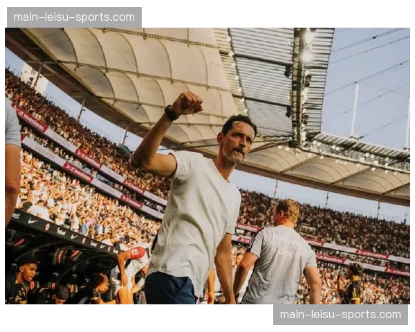 霍芬海姆主场球迷高歌助威，现场气氛达到高潮